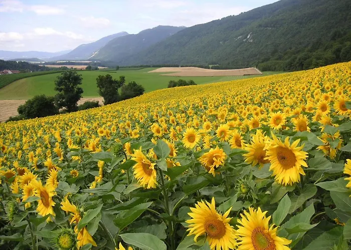 Maisonette Campagnarde בית נופש *