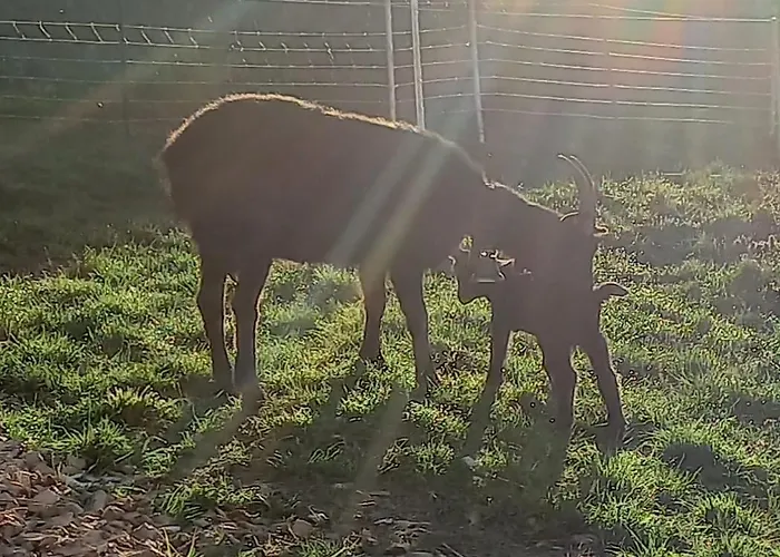 Maisonette Campagnarde